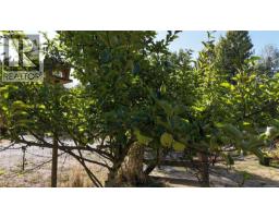 877 Hutchinson Rd, Cobble Hill, BC V0R1L0 Photo 72