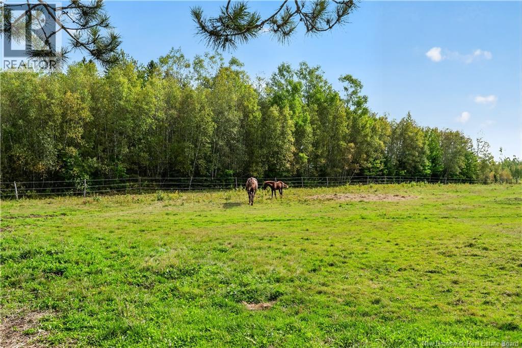 470 Salem Road - 41