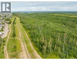 329 Greenwich Lane, Fort Mcmurray, AB T9H3X6 Photo 29