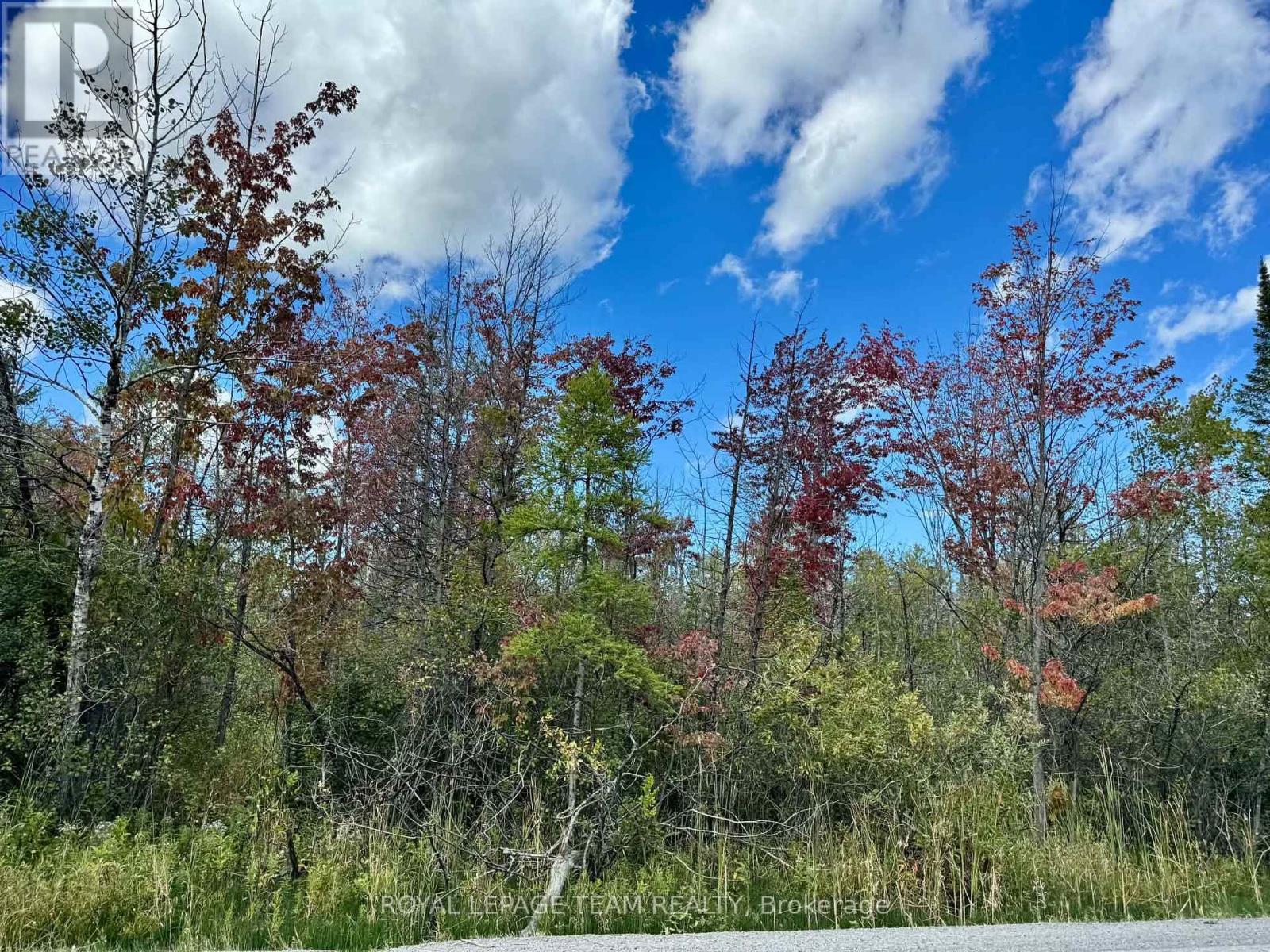 Land for Sale in Ottawa – 00 RICHARDSON SD RD SIDE ROAD, Ottawa – MLS# X13770678 - Image 17