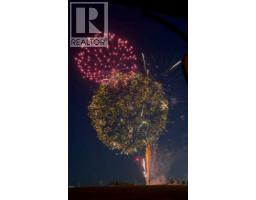 6 Valarosa Cove, Didsbury, AB T0M0W0 Photo 38