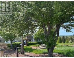 460 Red Point Road, Red Point, NS B2C1G4 Photo 45