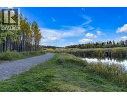 41 Evergreen Mount SW - photo 47
