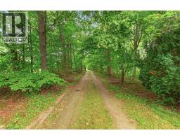138 Reicheld Road, Selkirk, ON N0A1P0 Photo 46