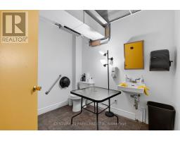 549 Sammon Avenue, Toronto, ON M4J2B3 Photo 20
