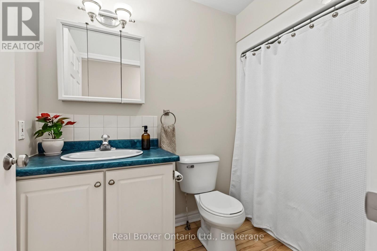 635064 EUPHRASIA HOLLAND TOWNLINE - Image 30