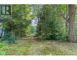 1025 Moe's Road, Bracebridge, ON P1L1X3 Photo 23