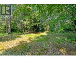 1025 Moe's Road, Bracebridge, ON P1L1X3 Photo 28