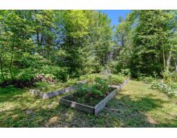 78 Ch. Old Bridge, Otter Lake, QC J0X2P0 Photo 26