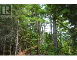 0 Dubois Road, Sioux Narrows Nestor Falls, ON P0X1N0 Photo 11