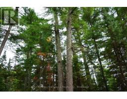 0 Dubois Road, Sioux Narrows Nestor Falls, ON P0X1N0 Photo 14
