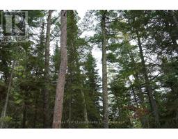 0 Dubois Road, Sioux Narrows Nestor Falls, ON P0X1N0 Photo 23