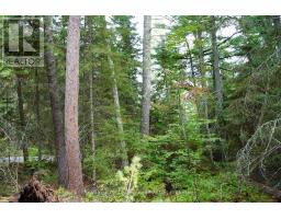 0 Dubois Road, Sioux Narrows Nestor Falls, ON P0X1N0 Photo 24