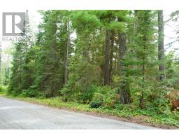 0 Dubois Road, Sioux Narrows Nestor Falls, ON P0X1N0 Photo 26