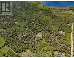 379 Elm Road, South Bruce Peninsula, ON N0H2T0 Photo 6