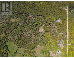 379 Elm Road, South Bruce Peninsula, ON N0H2T0 Photo 7
