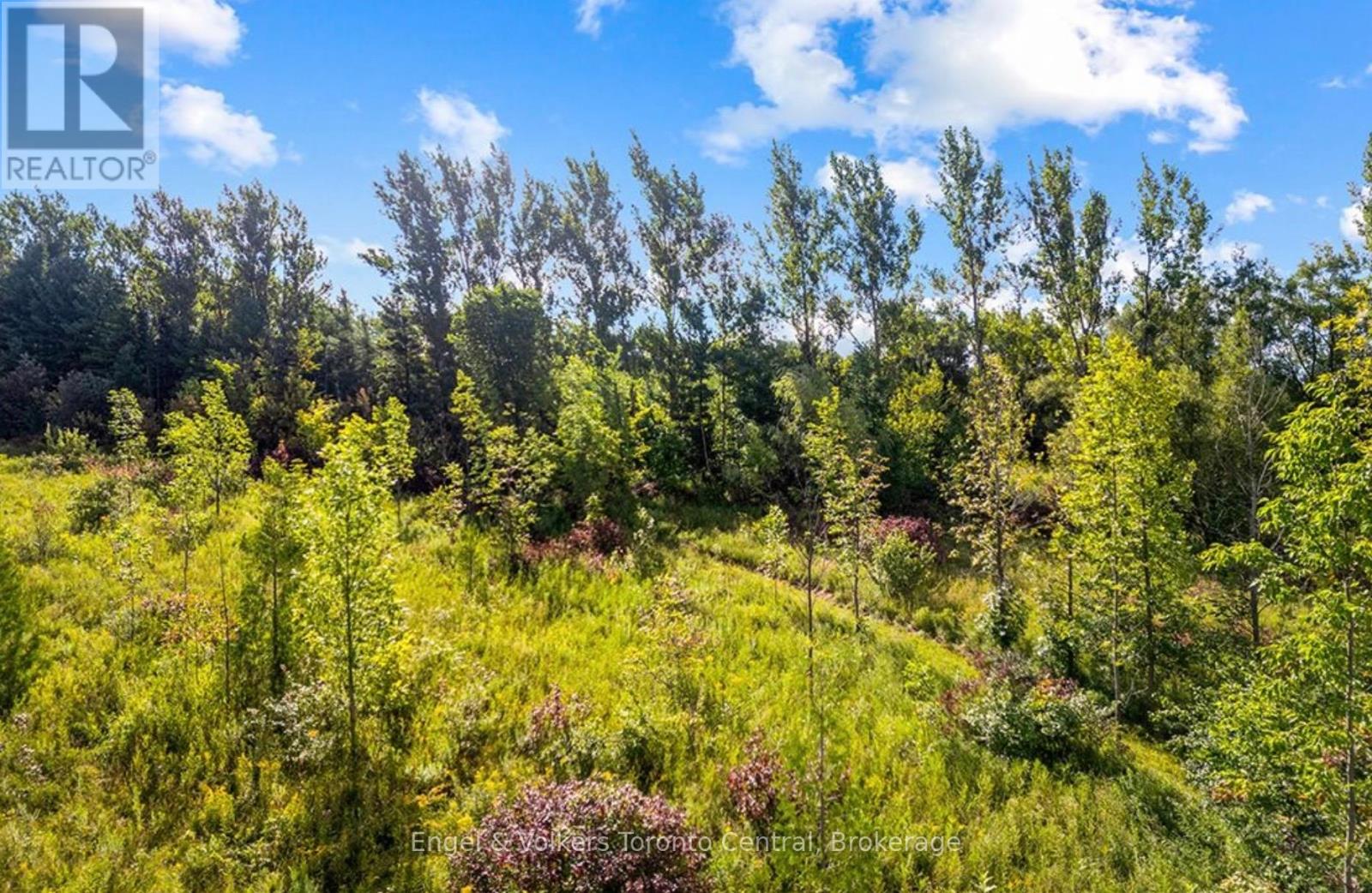 628482 119 GREY ROAD - 25