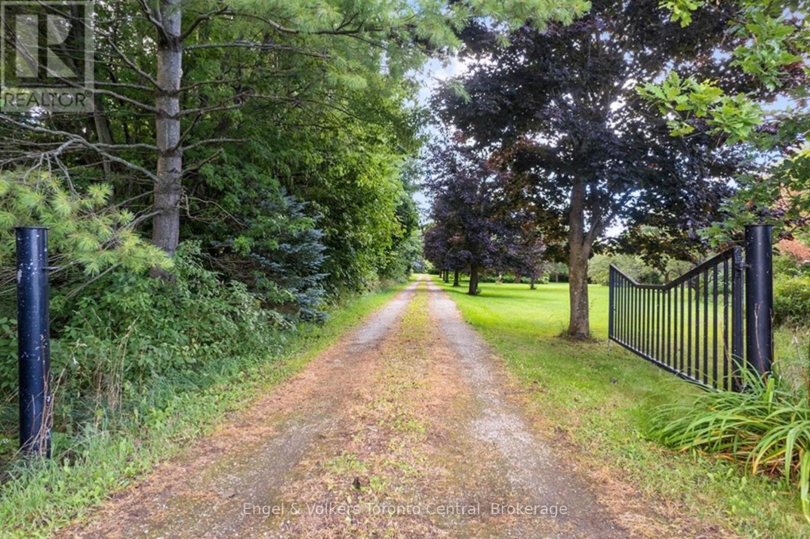 628482 119 GREY ROAD - 3