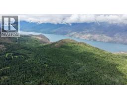 8470 Red Mountain Road, Silverton, BC V0G1S0 Photo 26