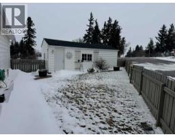 61 Mackenzie Avenue, Hughenden, AB T0B2E0 Photo 21