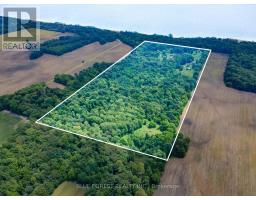 23706 Gray Line, West Elgin, ON N0L2C0 Photo 6