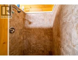 4608 51 Avenue, Czar, AB T0B0Z0 Photo 13