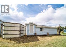 4608 51 Avenue, Czar, AB T0B0Z0 Photo 20