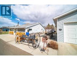 4608 51 Avenue, Czar, AB T0B0Z0 Photo 18