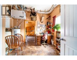 4608 51 Avenue, Czar, AB T0B0Z0 Photo 9