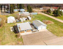 4608 51 Avenue, Czar, AB T0B0Z0 Photo 31