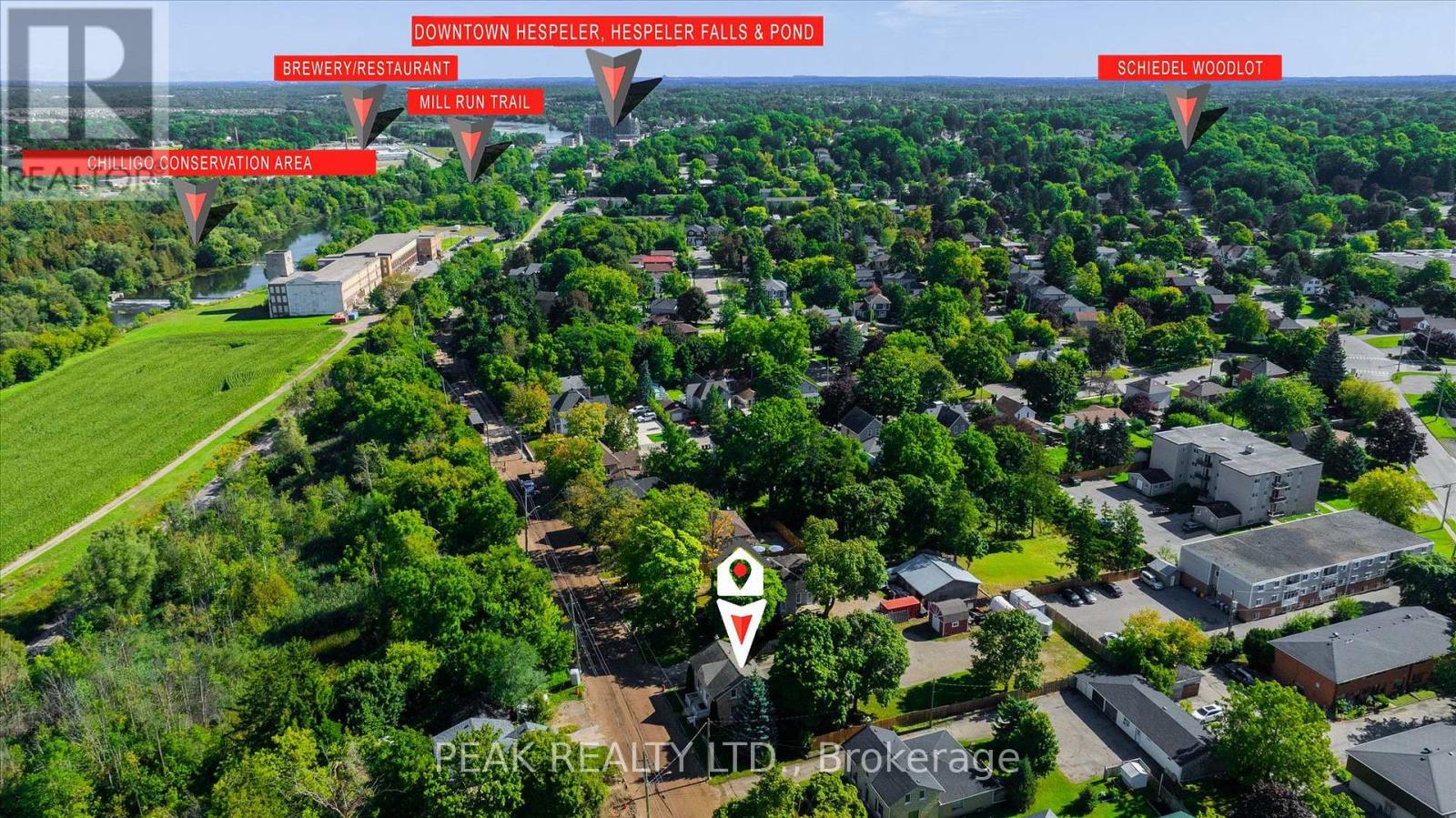 344 QUEEN STREET W - 39