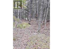 Lot Forest Glade Road, Forest Glade, NS B0S1N0 Photo 14
