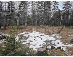 Lot Forest Glade Road, Forest Glade, NS B0S1N0 Photo 10