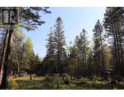 Lot Forest Glade Road, Forest Glade, NS B0S1N0 Photo 11