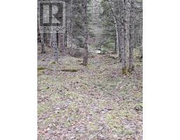 Lot Forest Glade Road, Forest Glade, NS B0S1N0 Photo 6
