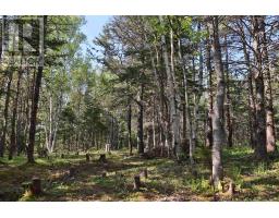 Lot Forest Glade Road, Forest Glade, NS B0S1N0 Photo 8