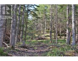 Lot Forest Glade Road, Forest Glade, NS B0S1N0 Photo 7