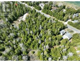 Pt Lt 24 Spry Shore Road, Northern Bruce Peninsula, ON N0H1W0 Photo 12