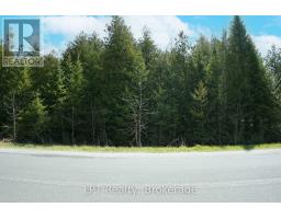 Pt Lt 24 Spry Shore Road, Northern Bruce Peninsula, ON N0H1W0 Photo 13