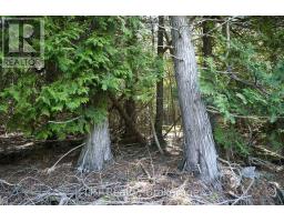 Pt Lt 24 Spry Shore Road, Northern Bruce Peninsula, ON N0H1W0 Photo 16