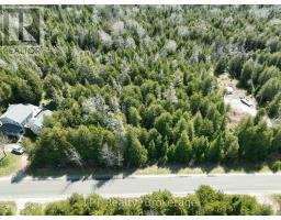 Pt Lt 24 Spry Shore Road, Northern Bruce Peninsula, ON N0H1W0 Photo 21