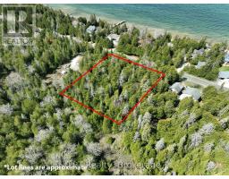 Pt Lt 24 Spry Shore Road, Northern Bruce Peninsula, ON N0H1W0 Photo 7