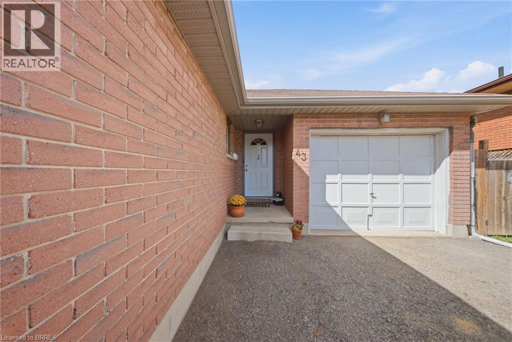 43 RUFFIAN Road - 4