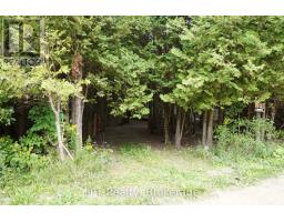 Pt Lt 48-50 Crawford Road, Chatsworth, ON N0H1C0 Photo 10