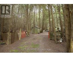 Pt Lt 48-50 Crawford Road, Chatsworth, ON N0H1C0 Photo 11