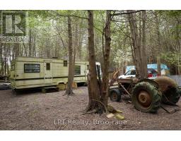 Pt Lt 48-50 Crawford Road, Chatsworth, ON N0H1C0 Photo 13
