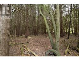 Pt Lt 48-50 Crawford Road, Chatsworth, ON N0H1C0 Photo 14