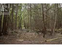Pt Lt 48-50 Crawford Road, Chatsworth, ON N0H1C0 Photo 15