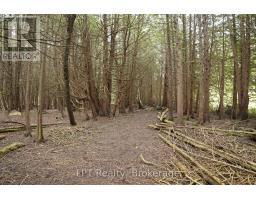 Pt Lt 48-50 Crawford Road, Chatsworth, ON N0H1C0 Photo 16