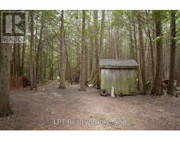 Pt Lt 48-50 Crawford Road, Chatsworth, ON N0H1C0 Photo 17